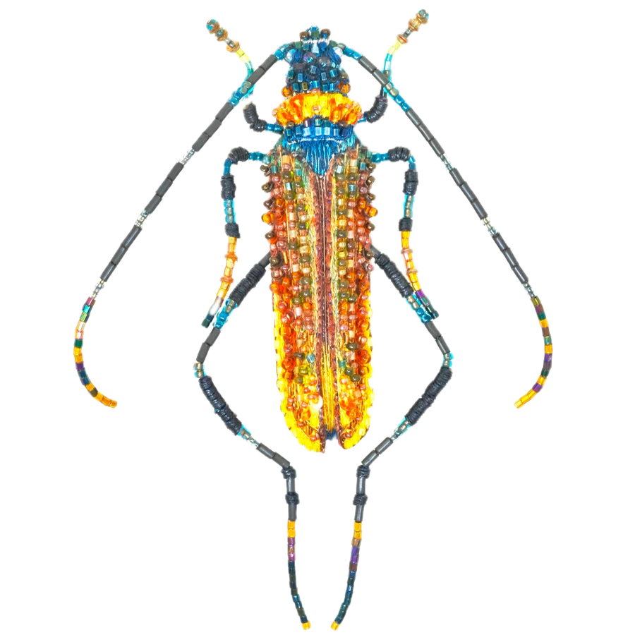Aphrodisium Beetle Brooch | Trovelore