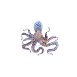 Common Octopus Brooch | Trovelore