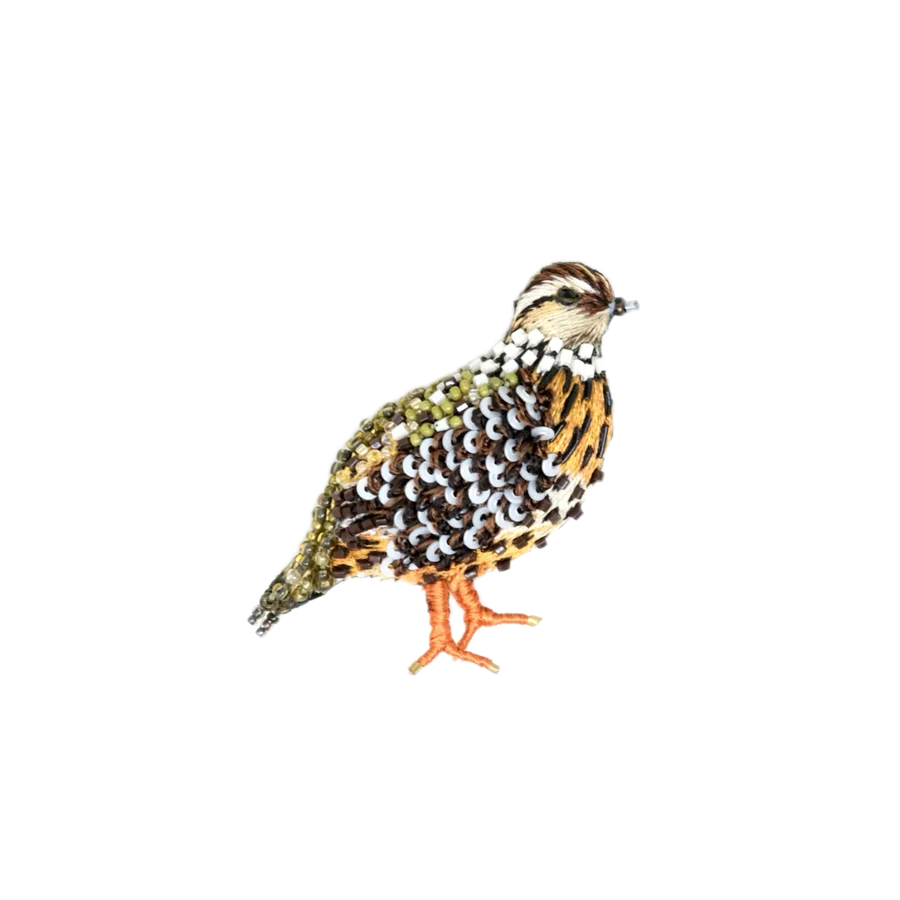 Fool Quail Brooch | Trovelore