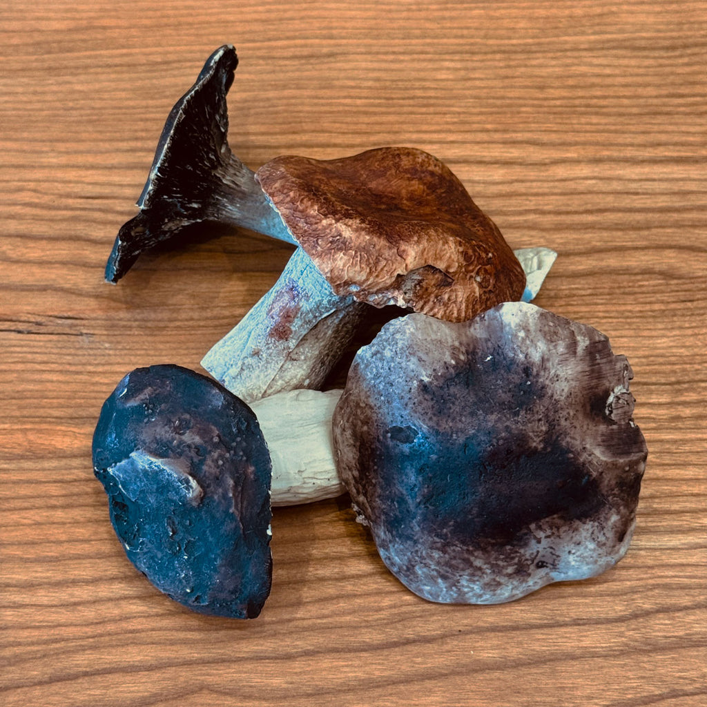 Porcelain Porcini Mushroom