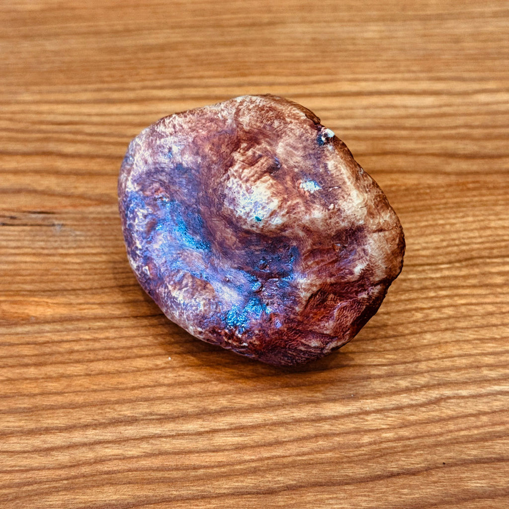 Porcelain Porcini Mushroom