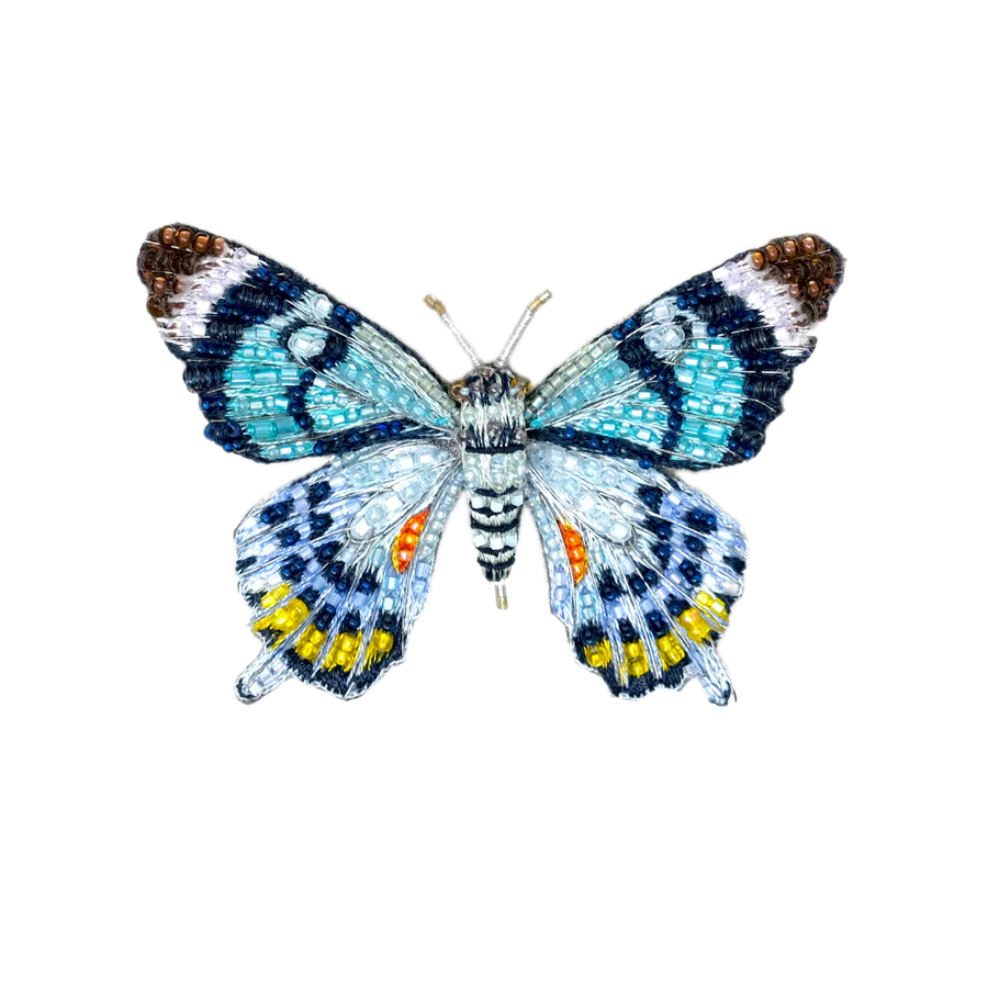 Papillon Brooch | Trovelore