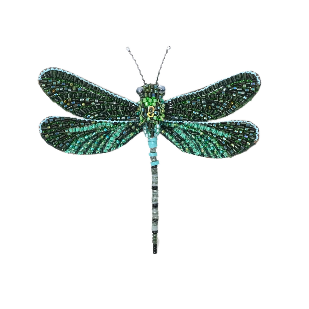 Pondhawk Dragonfly Brooch | Trovelore