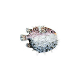 Puffer Fish Brooch | Trovelore