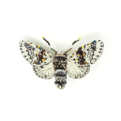 Florentinus Beetle Brooch | Trovelore