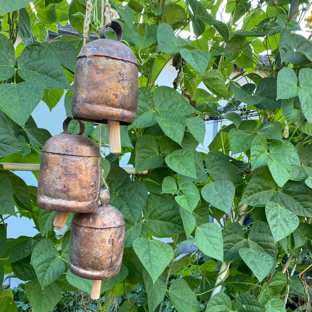 Bronze Desert Bell | Size 08