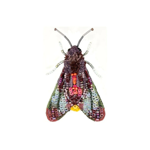 Drepanid Moth Brooch | Trovelore