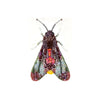 Dusk Moth Brooch | Trovelore