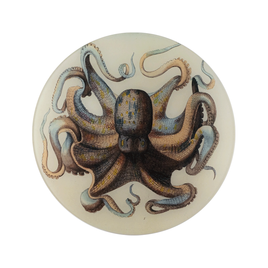 Octopus Plate - 11.5" Round