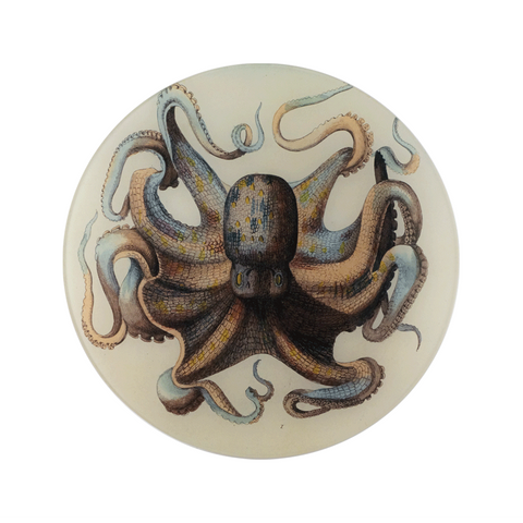 Octopus Plate - 11.5" Round