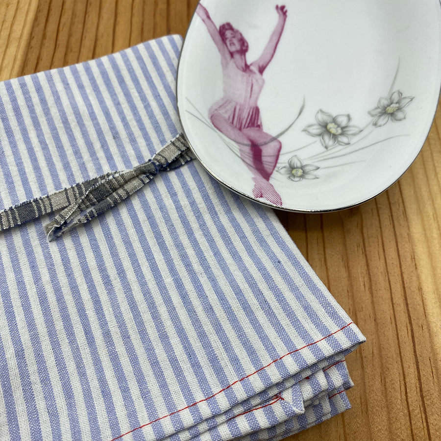 Ige Cloth Napkins | Ticking