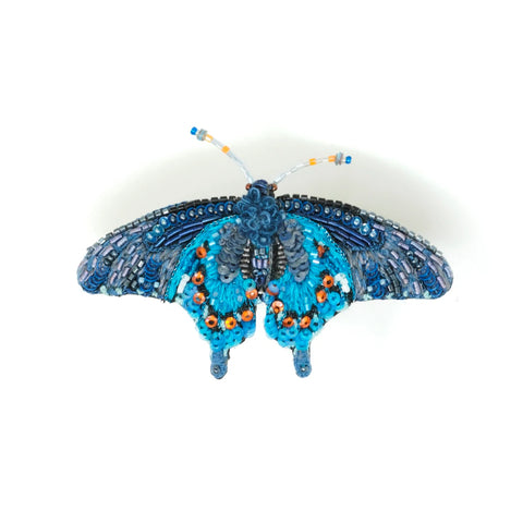 Cosmos Moth Brooch | Trovelore
