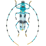 Alpine Longhorn Beetle Brooch | Trovelore