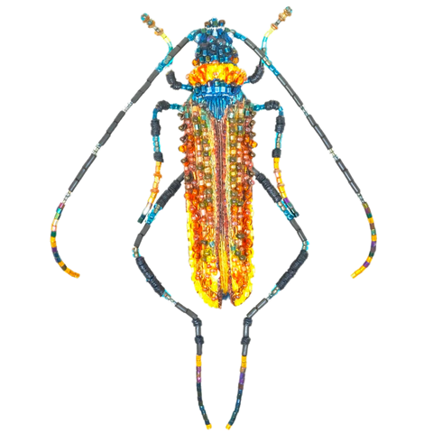 Aphrodisium Beetle Brooch | Trovelore