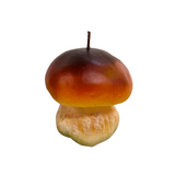 Porcino Mushroom Candle | Italy