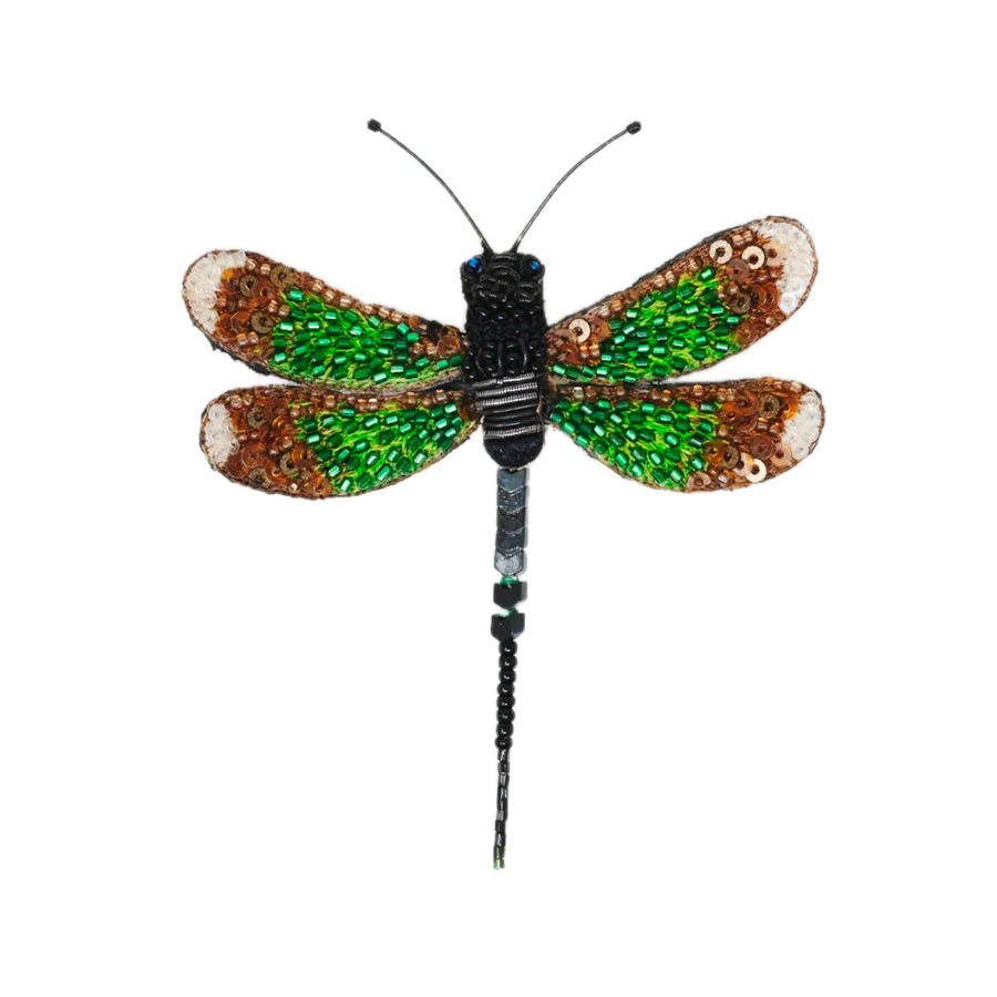 Banded Demoiselle Brooch | Trovelore