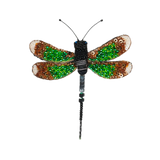 Banded Demoiselle Brooch | Trovelore