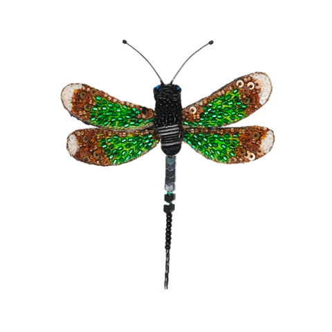 Banded Demoiselle Brooch | Trovelore