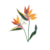 Bird of Paradise Flower Brooch | Trovelore