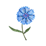 Blue Bottleflower Brooch | Trovelore