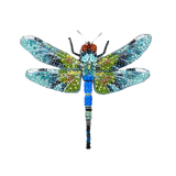 Blue Emperor Dragonfly Brooch | Trovelore