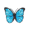 Blue Morpho Brooch | Trovelore
