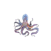 Common Octopus Brooch | Trovelore