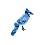 Crested Blue Jay Brooch | Trovelore
