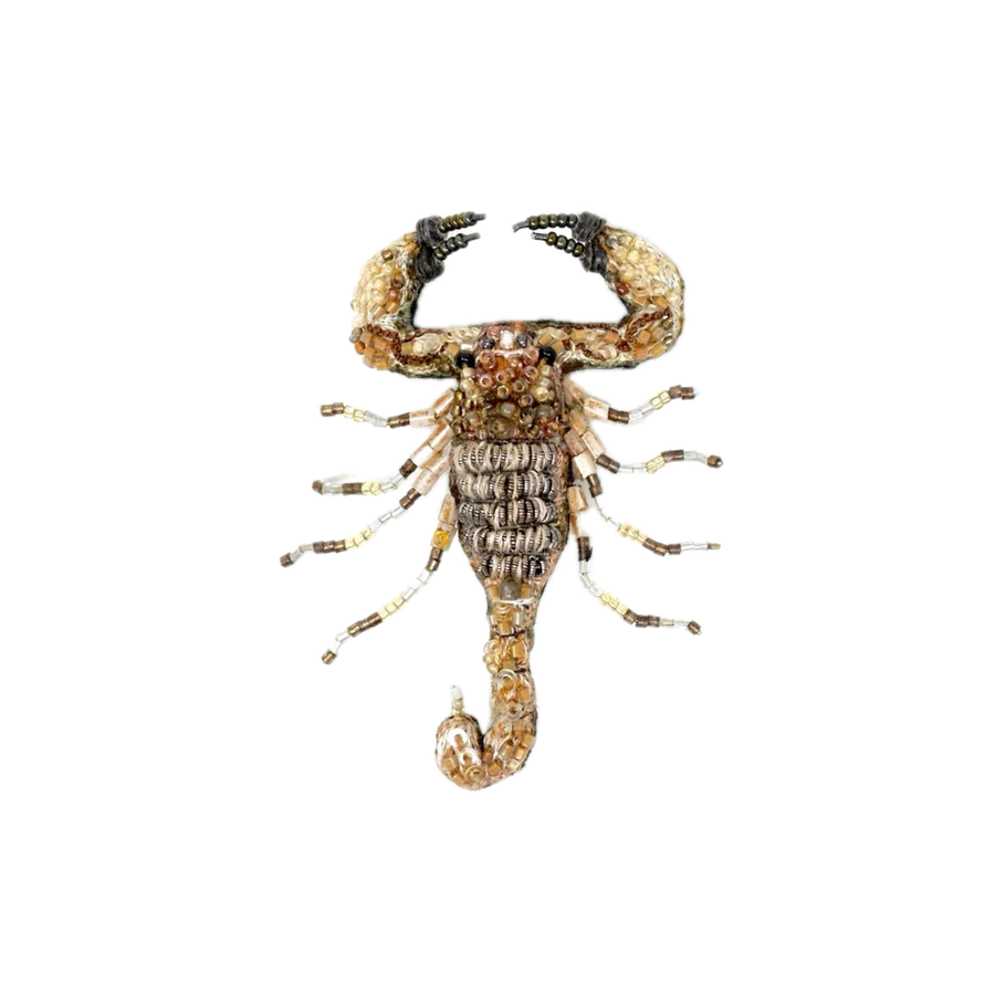Desert Scorpion Brooch | Trovelore