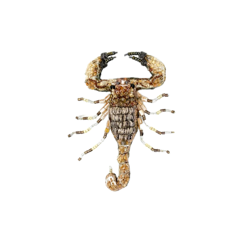 Desert Scorpion Brooch | Trovelore | PRE-ORDER ARRIVING MID MAY