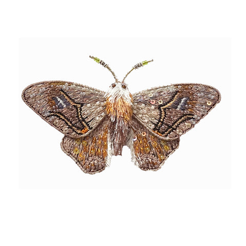 Emperor Mopane Moth Brooch | Trovelore | Back in Stock