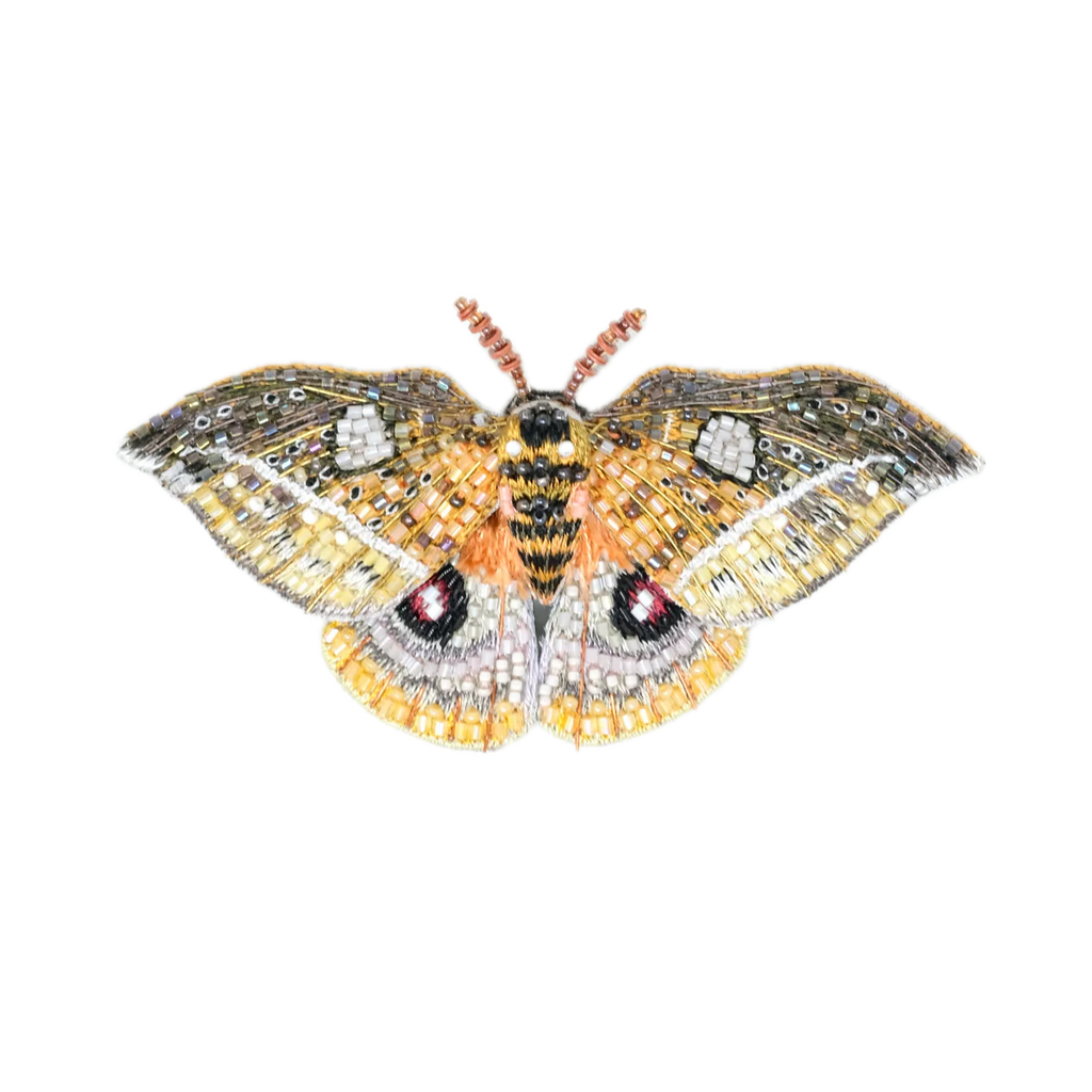 Emperor Automaria Moth Brooch | Trovelore