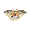 Emperor Automaria Moth Brooch | Trovelore