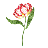 Estella Parrot Brooch | Trovelore