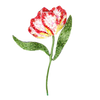Estella Parrot Brooch | Trovelore