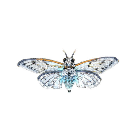Ghost Cicada Brooch | Trovelore