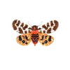 Giant Tiger Moth Brooch | Trovelore