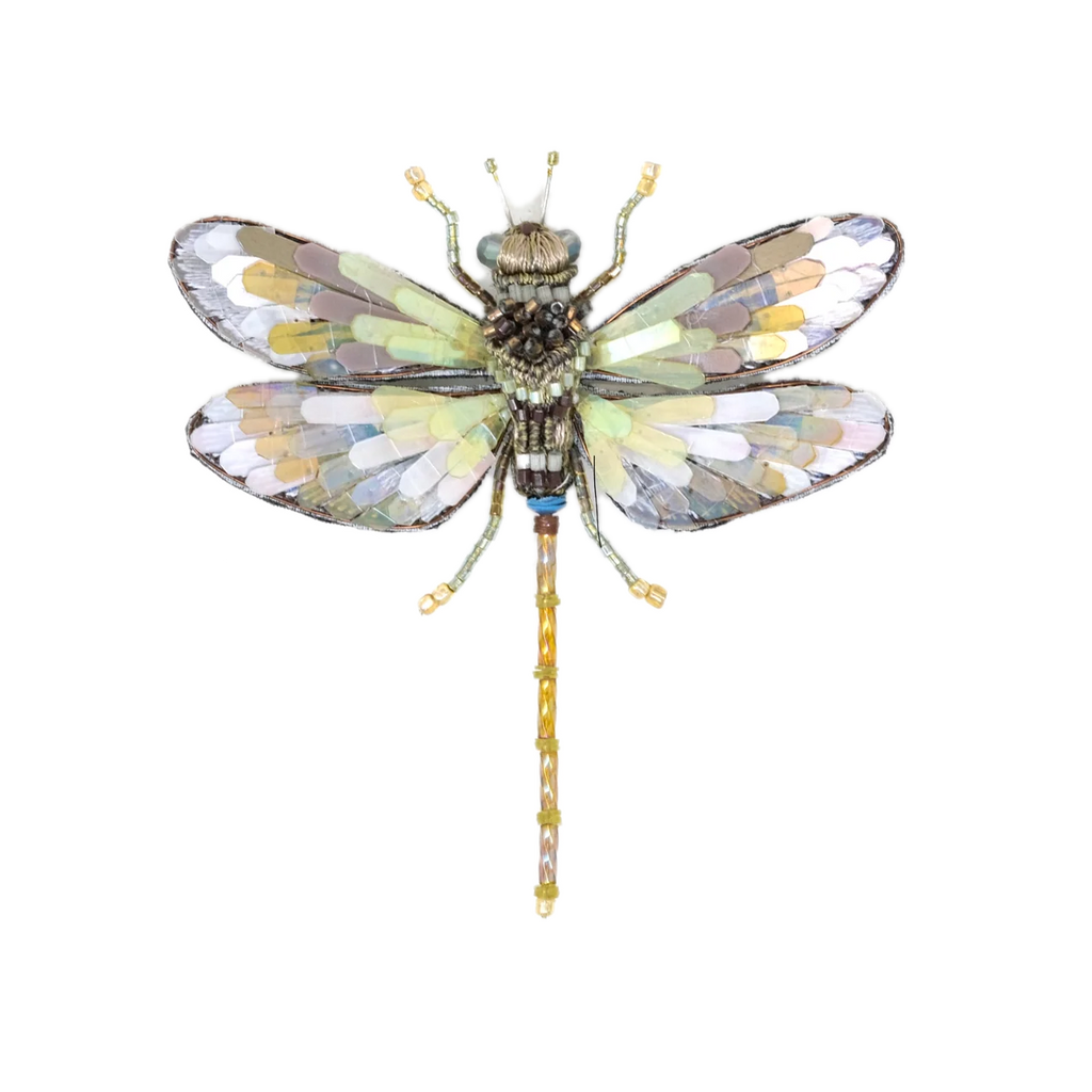Globe Blue Skimmer Brooch | Trovelore