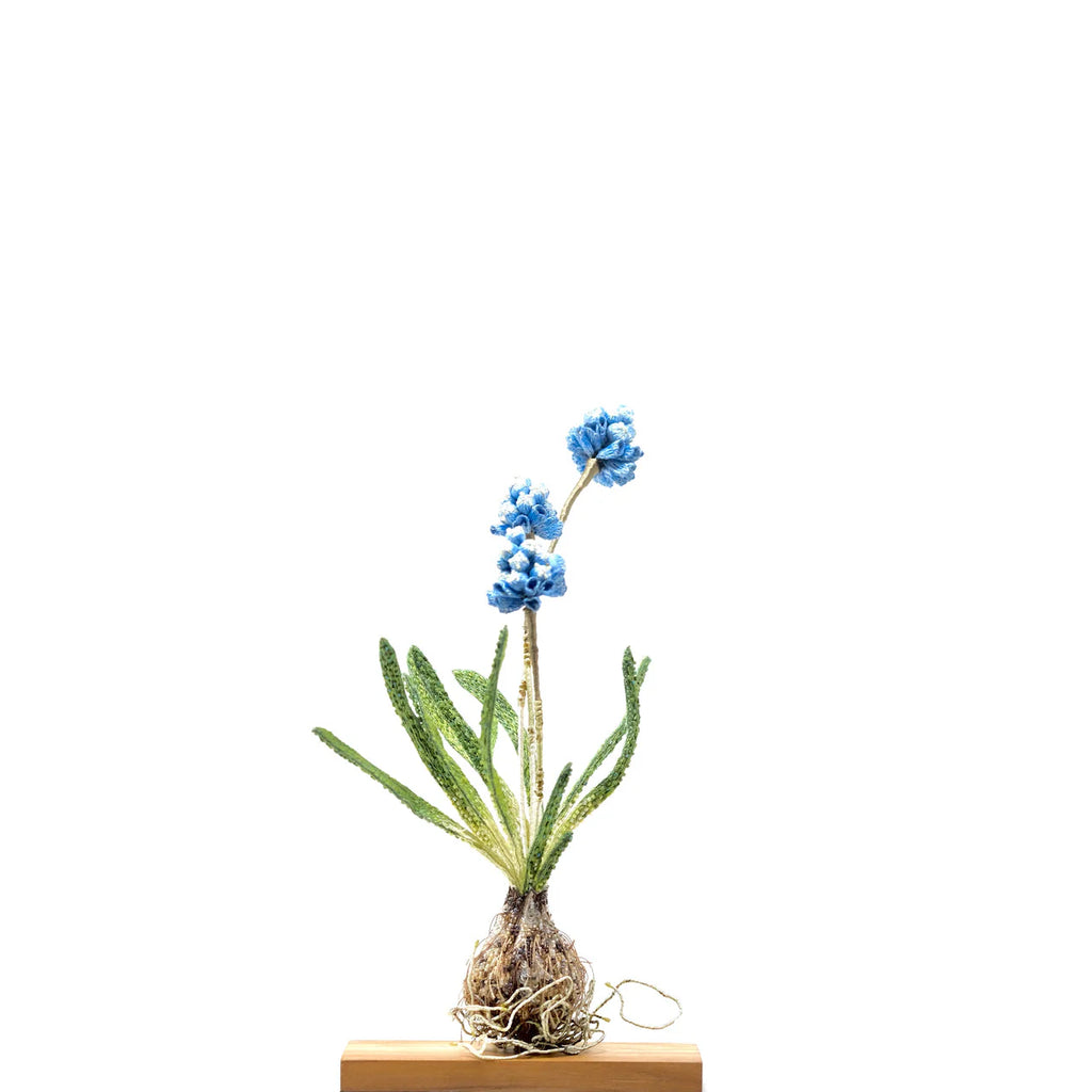 Grape Hyacinth Object Art | Trovelore