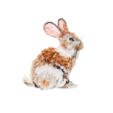 Happy Rabbit Brooch | Trovelore