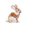 Happy Rabbit Brooch | Trovelore