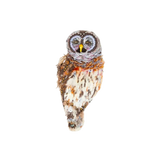 Hoot Owl Brooch | Trovelore