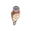 Hoot Owl Brooch | Trovelore