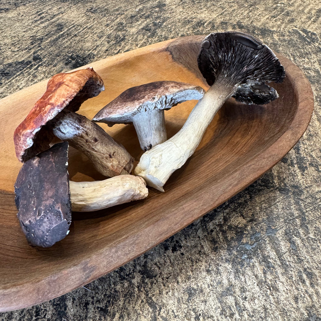 Porcelain Porcini Mushroom