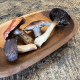 Porcelain Porcini Mushroom