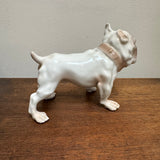 Vintage Porcelain Suspicious Bulldog | Denmark