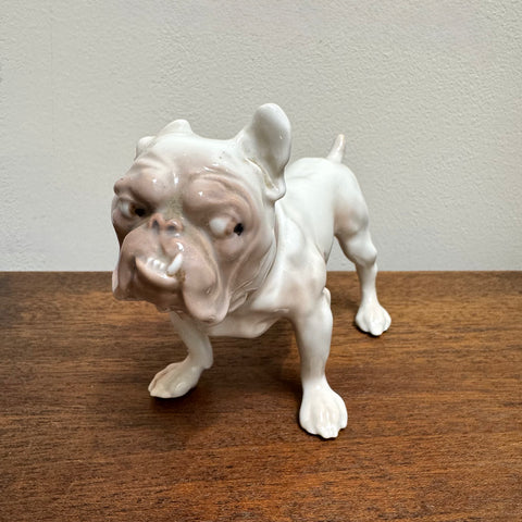 Vintage Porcelain Suspicious Bulldog | Denmark