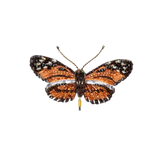 Isabella's Longwing Butterfly Brooch | Trovelore