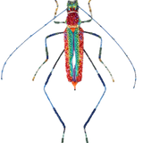 Lameeri Brooch | Trovelore