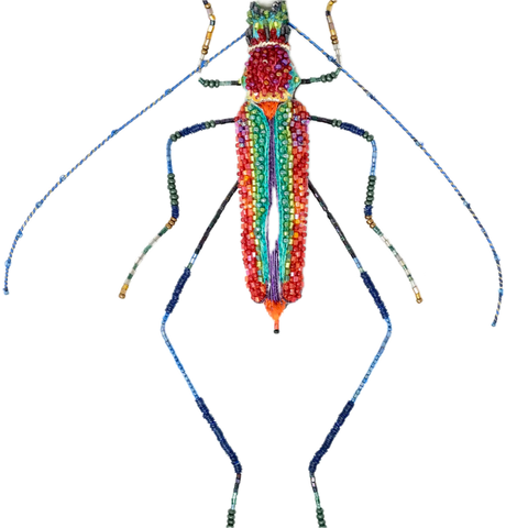 Lameeri Brooch | Trovelore